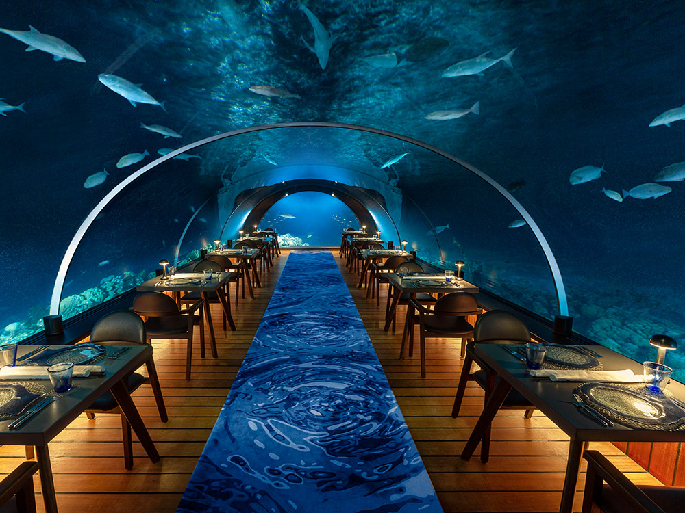 Während Fischschwärme an Ihnen vorbeiziehen, überreichen sich gegenseitig die Ringe im Unterwasser Restaurant auf Hurawalhi.