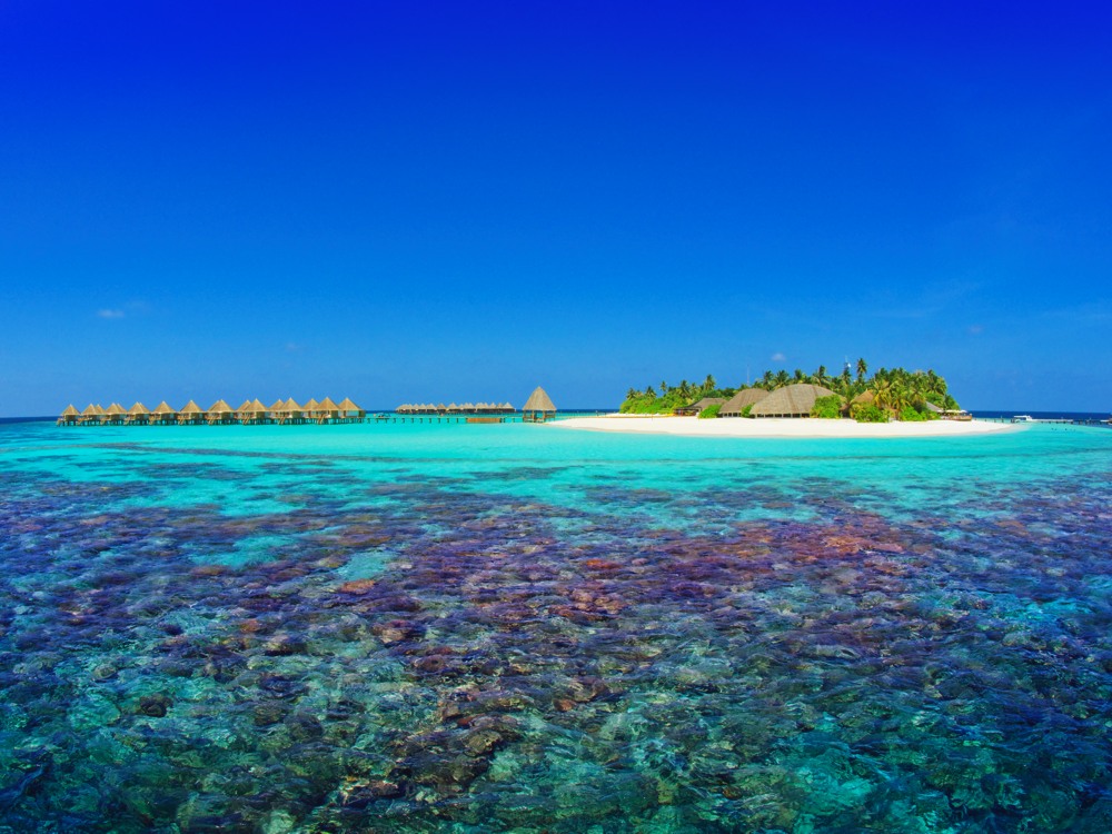 Angaga verfügt über 40 verschiedene Tauchplätze, die meisten können innerhalb von 10 bis 55 Minuten erreicht werden.Island Resort 