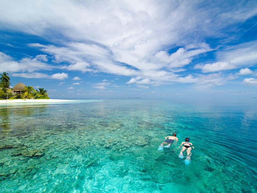 Kandolhu liegt nur wenige Minuten von einigen der besten Tauchplätze im Nord- und Süd-Ari-Atoll entfernt und ist eines der beliebtesten Tauchresorts auf den Malediven.