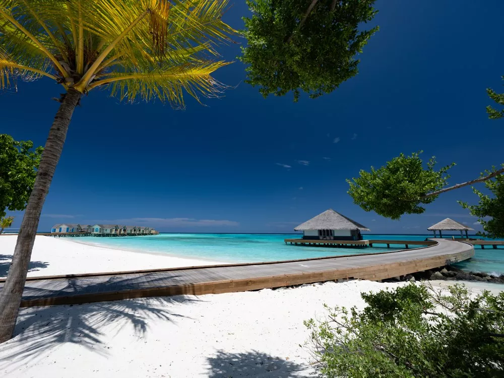 Entdecken Sie im Cora Cora Maldives den Spass an der Freude am Leben ohne Grenzen.