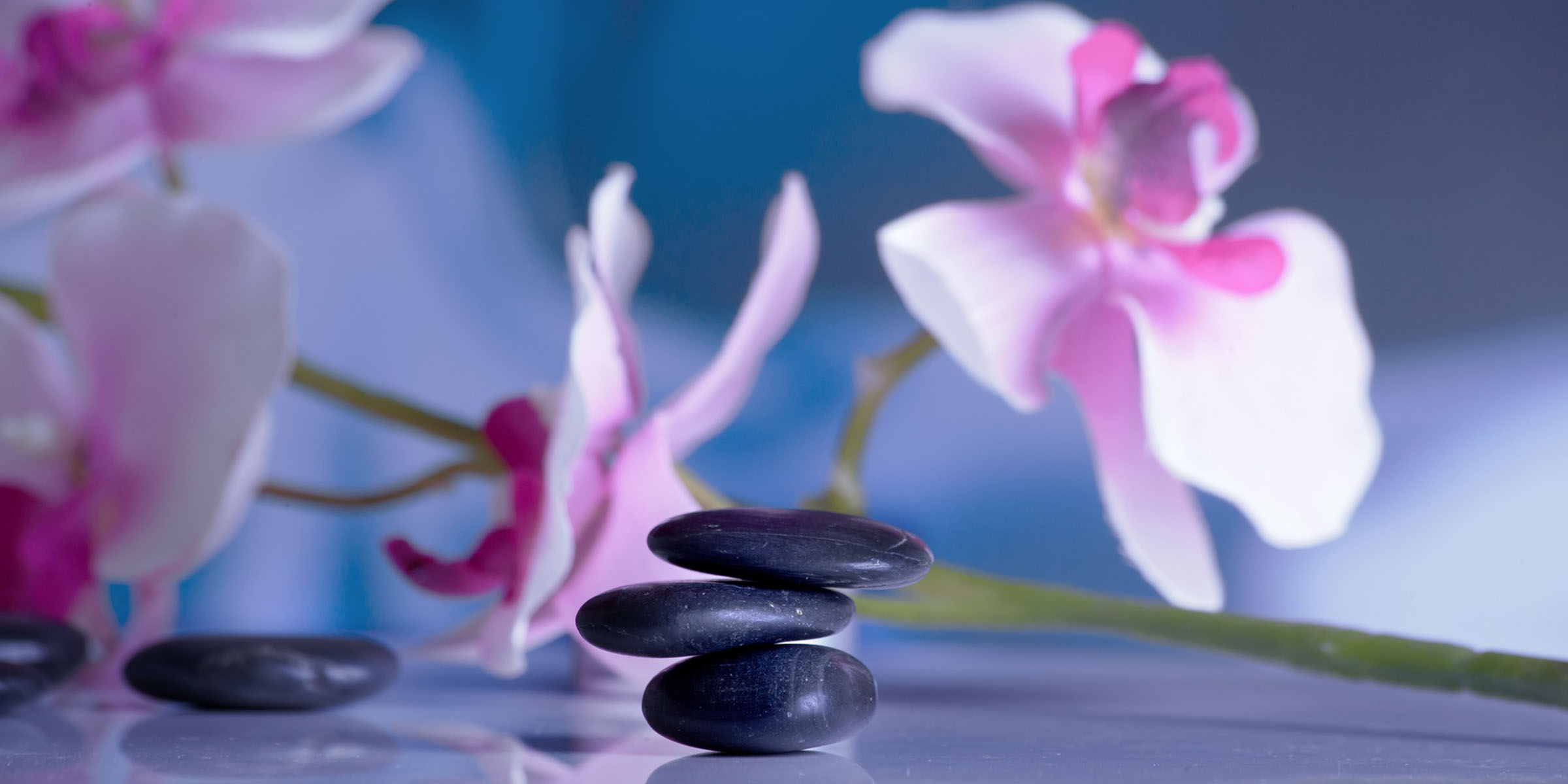 ellaidhoowellness
