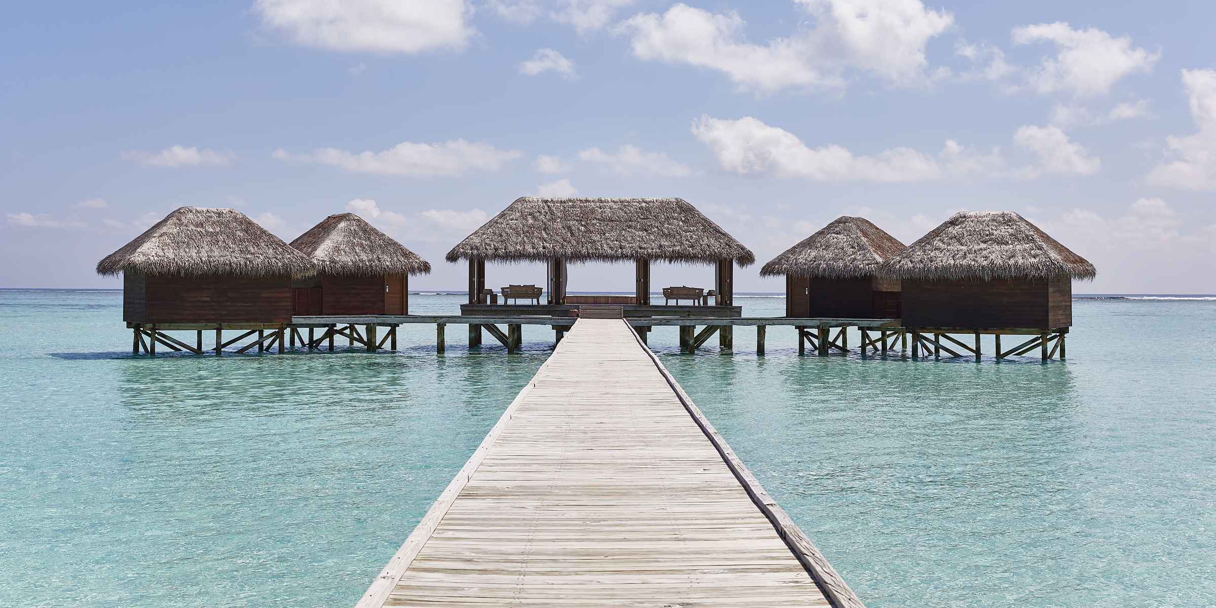 conradwellness