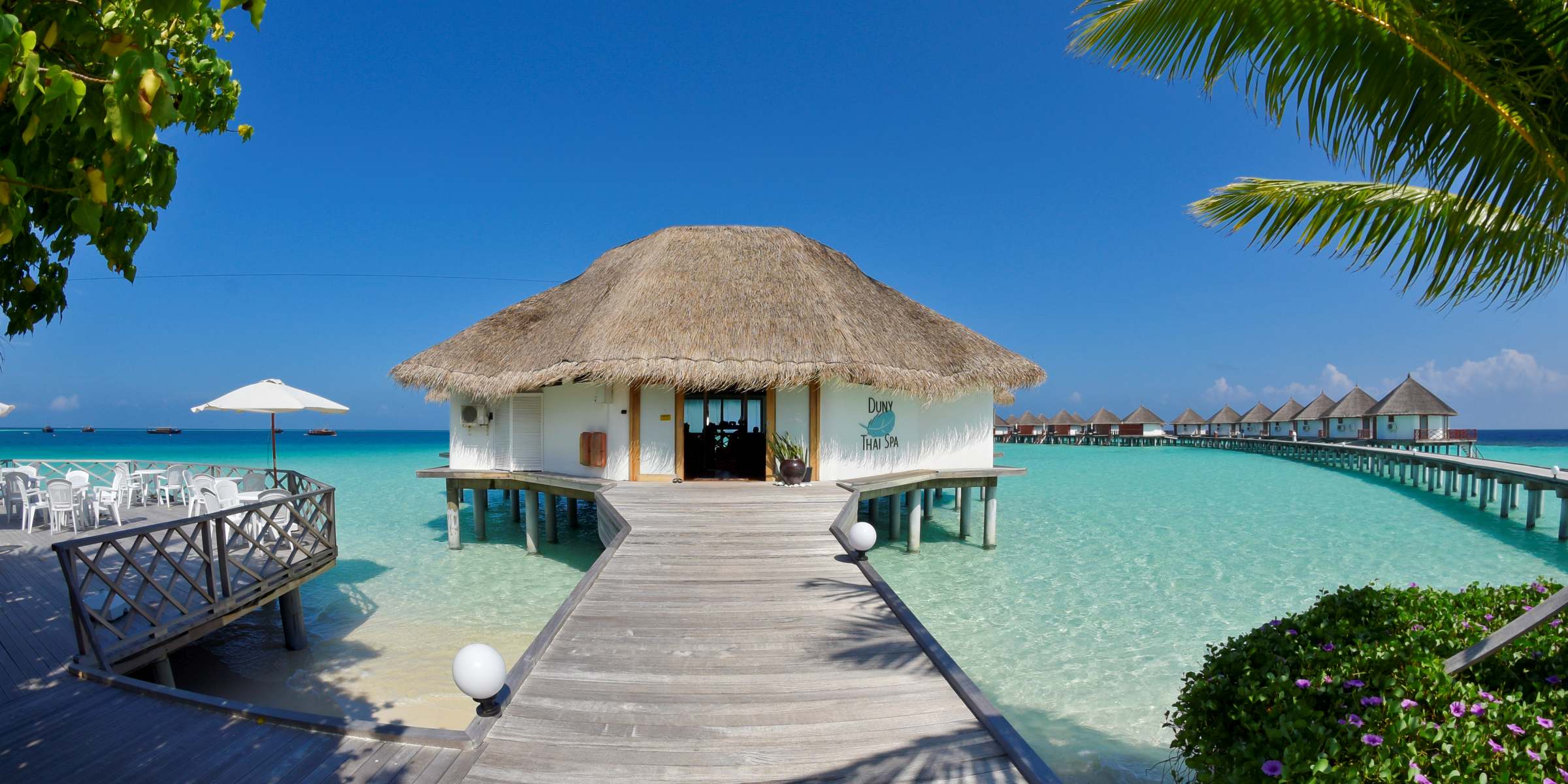 safariislandwellness