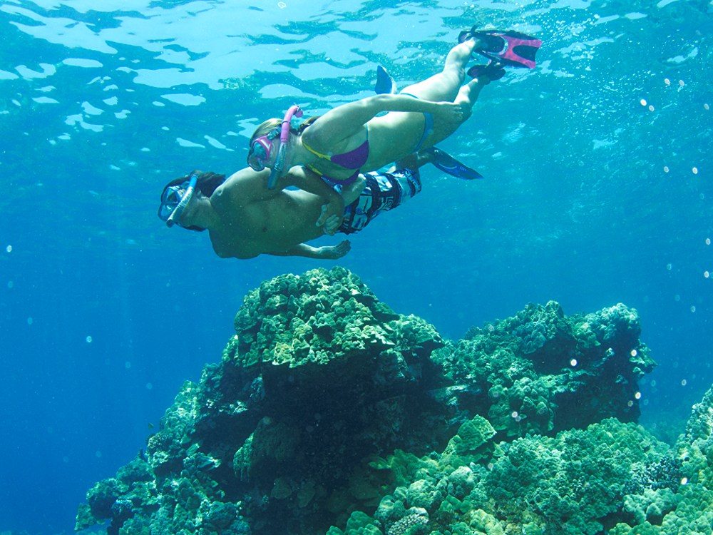 Dem Schnorchler präsentiert sich auf Bathala die herrliche Unterwasserwelt der Malediven.